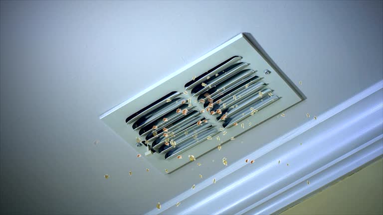 Best Ductwork Cleaning Services  in Schuylerville, NY